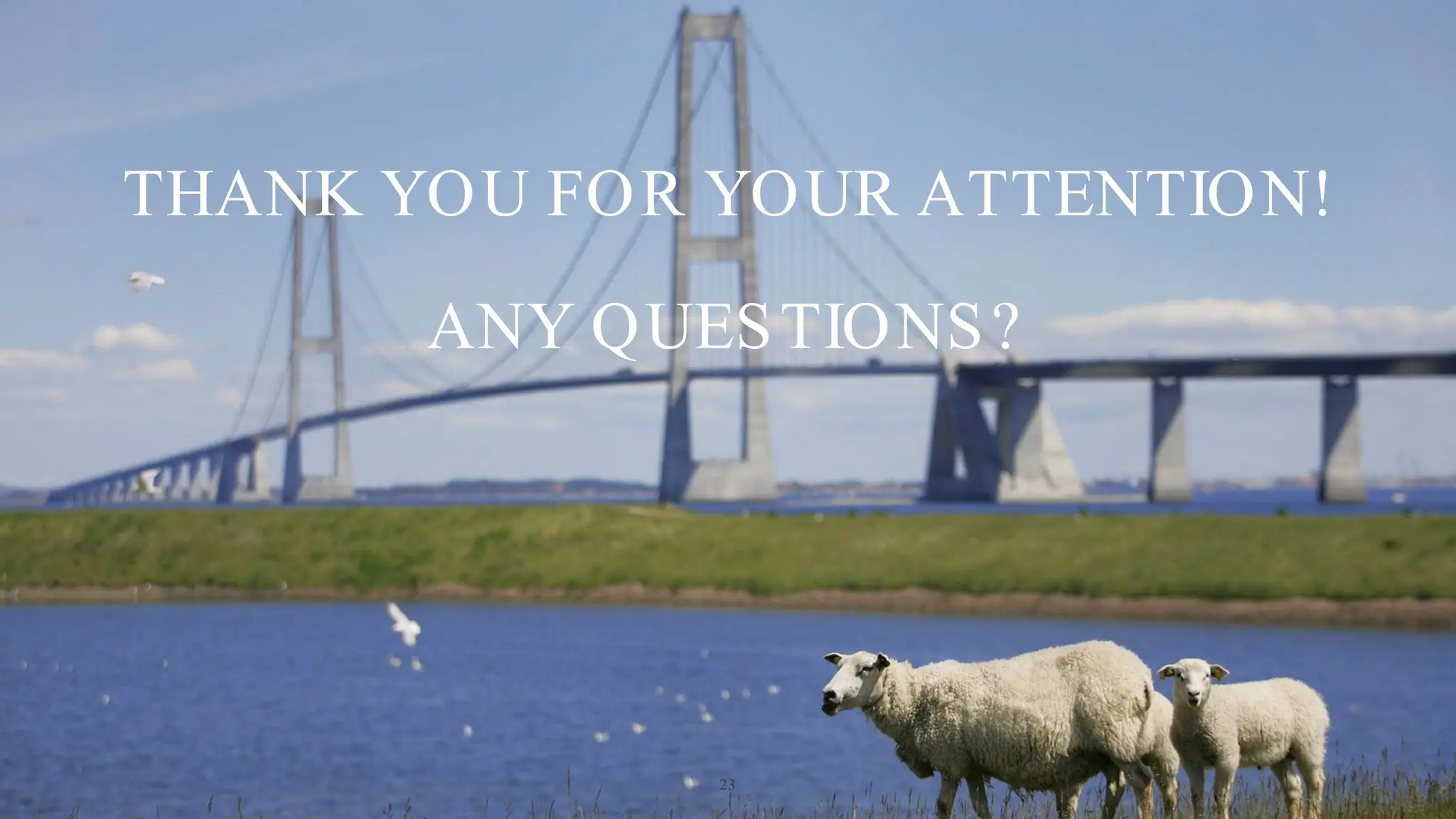 THANK YOU FOR YOUR ATTENTION!
ANY QUESTIONS?
23
 