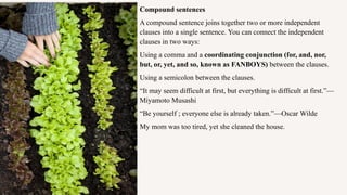 Compound sentences
A compound sentence joins together two or more independent
clauses into a single sentence. You can connect the independent
clauses in two ways:
Using a comma and a coordinating conjunction (for, and, nor,
but, or, yet, and so, known as FANBOYS) between the clauses.
Using a semicolon between the clauses.
“It may seem difficult at first, but everything is difficult at first.”—
Miyamoto Musashi
“Be yourself ; everyone else is already taken.”—Oscar Wilde
My mom was too tired, yet she cleaned the house.
 