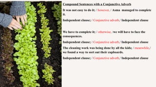 Compound Sentences with a Conjunctive Adverb
It was not easy to do it; / however, / Asma managed to complete
it.
Independent clause; / Conjunctive adverb,/ Independent clause
We have to complete it; / otherwise, /we will have to face the
consequences.
Independent clause; / Conjunctive adverb,/ Independent clause
The cleaning work was being done by all the kids; / meanwhile,/
we found a way to sort out their cupboards.
Independent clause; / Conjunctive adverb,/ Independent clause
 