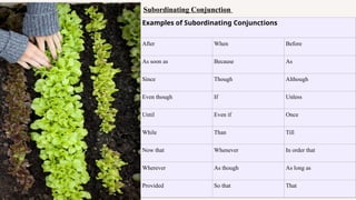 Subordinating Conjunction
Examples of Subordinating Conjunctions
After When Before
As soon as Because As
Since Though Although
Even though If Unless
Until Even if Once
While Than Till
Now that Whenever In order that
Wherever As though As long as
Provided So that That
 