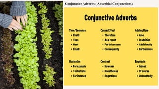 Conjunctive Adverbs ( Adverbial Conjunctions)
 