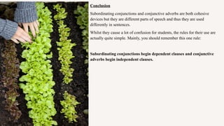 Conclusion
Subordinating conjunctions and conjunctive adverbs are both cohesive
devices but they are different parts of speech and thus they are used
differently in sentences.
Whilst they cause a lot of confusion for students, the rules for their use are
actually quite simple. Mainly, you should remember this one rule:
Subordinating conjunctions begin dependent clauses and conjunctive
adverbs begin independent clauses.
 