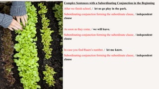 Complex Sentences with a Subordinating Conjunction in the Beginning
After we finish school, / let us go play in the park.
Subordinating conjunction forming the subordinate clause, / independent
clause
As soon as they come, / we will leave.
Subordinating conjunction forming the subordinate clause, / independent
clause
In case you find Raam’s number, / let me know.
Subordinating conjunction forming the subordinate clause, / independent
clause
 