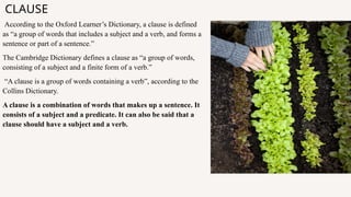 CLAUSE
According to the Oxford Learner’s Dictionary, a clause is defined
as “a group of words that includes a subject and a verb, and forms a
sentence or part of a sentence.”
The Cambridge Dictionary defines a clause as “a group of words,
consisting of a subject and a finite form of a verb.”
“A clause is a group of words containing a verb”, according to the
Collins Dictionary.
A clause is a combination of words that makes up a sentence. It
consists of a subject and a predicate. It can also be said that a
clause should have a subject and a verb.
 
