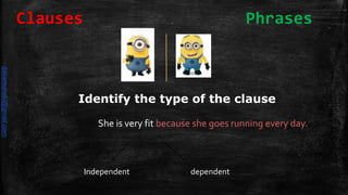 She is very fit because she goes running every day.
Identify the type of the clause
Independent dependent
Clauses Phrases
daliamunaki@gmail.com
 