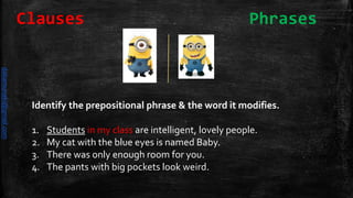 Identify the prepositional phrase & the word it modifies.
1. Students in my class are intelligent, lovely people.
2. My cat with the blue eyes is named Baby.
3. There was only enough room for you.
4. The pants with big pockets look weird.
Clauses Phrases
daliamunaki@gmail.com
 