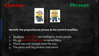 Identify the prepositional phrase & the word it modifies.
1. Students in my class are intelligent, lovely people.
2. My cat with the blue eyes is named Baby.
3. There was only enough room for you.
4. The pants with big pockets look weird.
Clauses Phrases
daliamunaki@gmail.com
 