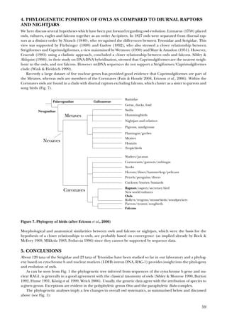 [Claus könig] owls_of_the_world(bokos-z1) | PDF