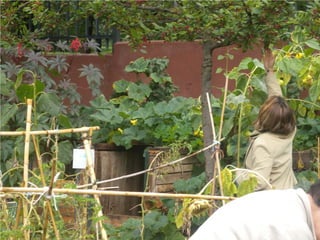 Nuestro último día en el Huerto