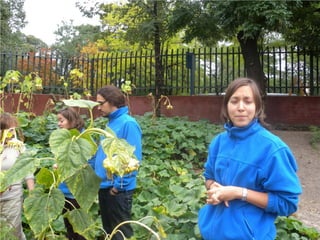 Nuestro último día en el Huerto