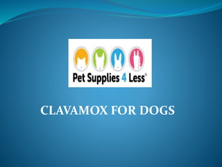 CLAVAMOX FOR DOGS
 