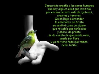 Jesucristo enseña a los seres humanos que hay algo en ellos que les sitúa por encima de esta vida de ajetreos, alegrías y temores. Quien llega a entender la enseñanza de Cristo se sentirá como un pájaro que no sabía que tenía alas y ahora, de pronto, se da cuenta de que puede volar, puede ser libre y ya no tiene nada que temer. León Tolstoi 