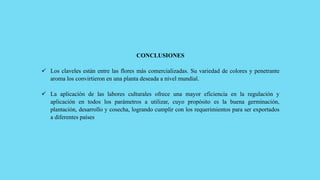 CONCLUSIONES
 Los claveles están entre las flores más comercializadas. Su variedad de colores y penetrante
aroma los convirtieron en una planta deseada a nivel mundial.
 La aplicación de las labores culturales ofrece una mayor eficiencia en la regulación y
aplicación en todos los parámetros a utilizar, cuyo propósito es la buena germinación,
plantación, desarrollo y cosecha, logrando cumplir con los requerimientos para ser exportados
a diferentes países
 