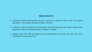 BIBLIOGRAFÍA
 Amezquita E.2009. Requerimientos de agua y nutrición de cultivos de flores. CIAT. XI Congreso
agronómico – III Congreso Nacional de Suelos. Colombia.
 Calderón S. 2002.Contribución al Conocimiento del Perfil Nutricional del Clavel; Estudio Sobre
Rajado Del Cáliz En La Variedad Nelson. p7.Bogota. Colombia.
 Agrícola Terra Ltda. Plan de Manejo para la estandarización del manejo del cultivo del clavel.
Consultado On Line. agosto 2016.
 