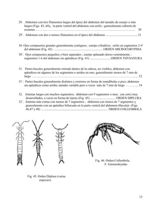 Alai Insect Clave para la identificación de insectos adultos | PDF