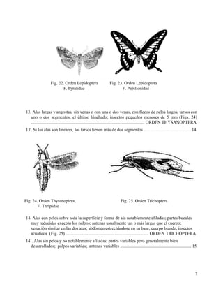 Alai Insect Clave para la identificación de insectos adultos | PDF