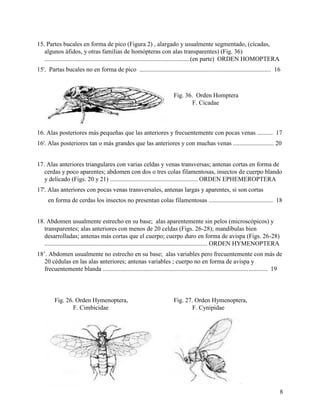 Alai Insect Clave para la identificación de insectos adultos | PDF