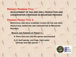 → There were ten (10) fish species documented
PROVINCE PROJECT TITLE 1:
BIOPHYSICAL AND SOCIO ECONOMIC STUDIES ON FISH AND SHELL
PRODUCTION, MARKETING AND CONSUMPTION IN MOUNTAIN
PROVINCE
PROVINCE PROGRAM TITLE:
DEVELOPMENT OF FISH AND SHELL PRODUCTION AND
CONSERVATION STRATEGIES IN MOUNTAIN PROVINCE
RESULTS AND FINDINGS OF PROJECT 1 :
→ 11 shell species and frogs, fresh water
shrimps and crab species _1
:
 