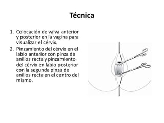 CLAVE ROJA 2023.pptx