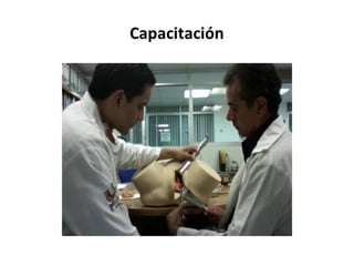 CLAVE ROJA 2023.pptx