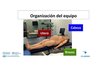 Utero
Cabeza
Brazos
Organización del equipo
 
