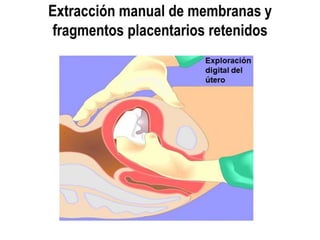 CLAVE ROJA 2023.pptx