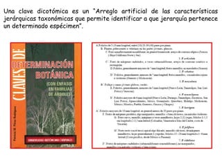 Una clave dicotómica es un “Arreglo artificial de las características jerárquicas taxonómicas que permite identificar a que jerarquía pertenece un determinado espécimen”. 