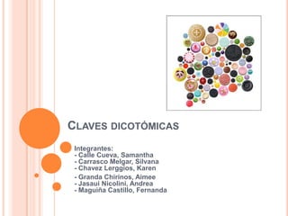 Claves dicotómicas Integrantes:- Calle Cueva, Samantha- Carrasco Melgar, Silvana- ChavezLerggios, Karen  - Granda Chirinos, Aimee- JasauiNicolini, Andrea- Maguiña Castillo, Fernanda 