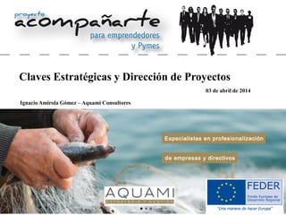 Claves Estratégicas y Dirección de Proyectos
Ignacio Amirola Gómez – Aquami Consultores
03 de abril de 2014
 