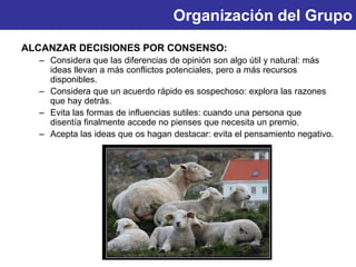 Organización del Grupo
ALCANZAR DECISIONES POR CONSENSO:
– Considera que las diferencias de opinión son algo útil y natural: más
ideas llevan a más conflictos potenciales, pero a más recursos
disponibles.
– Considera que un acuerdo rápido es sospechoso: explora las razones
que hay detrás.
– Evita las formas de influencias sutiles: cuando una persona que
disentía finalmente accede no pienses que necesita un premio.
– Acepta las ideas que os hagan destacar: evita el pensamiento negativo.
 