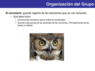 Organización del Grupo
El secretario: guarda registro de las decisiones que se van tomando.
– Qué debe hacer:
• Convoca las reuniones que le indica el coordinador.
• Guarda nota escrita de los acuerdos de las reuniones. Principalmente de las
tareas a realizar.
 
