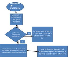 CRIMINALES SIN SEROTONINA  Muestran el comportamiento de las personas padecieran algún tipo de desequilibrio  La serotonina es una sustancia química que segrega el cerebro y que calma la irritabilidad y el comportamiento violento La persona no se siente a gusto con lo que hace y busca como sacar su ira  si no que la violencia también está producida por perturbaciones en el cerebro causadas por la educación  