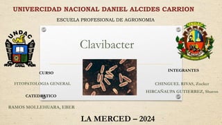 Clavibacter
CHINGUEL RIVAS, Zucker
HIRCAÑAUPA GUTIERREZ, Sharon
UNIVERCIDAD NACIONAL DANIEL ALCIDES CARRION
ESCUELA PROFESIONAL DE AGRONOMIA
CURSO
FITOPATOLOGIA GENERAL
CATEDRATICO
RAMOS MOLLEHUARA, EBER
INTEGRANTES
LA MERCED – 2024
 