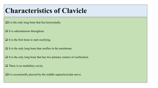 Characteristics of Clavicle
It is the only long bone that lies horizontally.
 It is subcutaneous throughout.
 It is the first bone to start ossifying.
 It is the only long bone that ossifies in the membrane.
 It is the only long bone that has two primary centers of ossification.
 There is no medullary cavity.
It is occasionally pierced by the middle supraclavicular nerve.
 