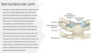 Sternoclavicular joint
• Although the overall stability of the joint is enhanced by the
presence of a fibrocartilaginous disc, the SC joint has the
poorest bony stability of any of the major joints. Its strong
ligamentous structure and protected location, however,
makes it one of the least frequently dislocated joints.
Surrounded by a synovial membrane, the SC joint is
supported by the anterior and posterior SC ligaments, the
costoclavicular ligament, and the interclavicular ligament.
• The sternoclavicular disc, which has qualities similar to the
menisci found in the knee, functions as a shock absorber.
The upper portion of the disc is attached to the clavicle, and
its lower portion is attached to the manubrium and first
costal cartilage. This disc divides the joint into two articular
cavities, one between the disc and the clavicle and a second
between the disc and the manubrium.
 