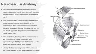 Neurovascular Anatomy
• The subclavian vein runs directly below the subclavius
muscle and above the first rib, where it is readily accessible
(for central venous access) and vulnerable (to inadvertent
injury).
• More posteriorly lie the subclavian artery and the brachial
plexus, separated from the vein and clavicle by the
additional layer of the scalenus anterior muscle medially.
subclavian vessels were closest at the medial end, with the
vein directly apposed to the posterior cortex of the medial
clavicle in some cases.
• In the middle third, the artery and vein were a mean of 17
and 13 mm from the clavicle, respectively, at an
approximate angle of 60 degrees to the horizontal (i.e., the
vessels were posterior-inferior to the clavicle).
• Laterally, the distances were greater, with the artery and
vein a mean of 63 and 76 mm, respectively form the clavicle.
 