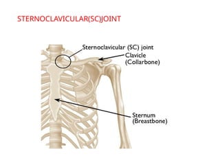 CLAVICLE, ACJ and SCJ radiographic technique.pptx