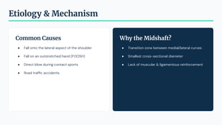 Common Causes
● Fall onto the lateral aspect of the shoulder
● Fall on an outstretched hand (FOOSH)
● Direct blow during contact sports
● Road trafﬁc accidents
Why the Midshaft?
● Transition zone between medial/lateral curves
● Smallest cross-sectional diameter
● Lack of muscular & ligamentous reinforcement
Etiology & Mechanism
 