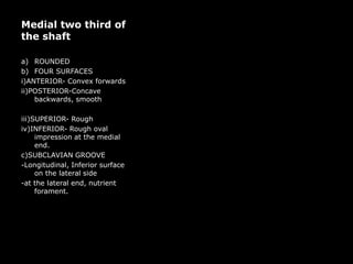 Medial two third of
the shaft
a) ROUNDED
b) FOUR SURFACES
i)ANTERIOR- Convex forwards
ii)POSTERIOR-Concave
backwards, smooth
iii)SUPERIOR- Rough
iv)INFERIOR- Rough oval
impression at the medial
end.
c)SUBCLAVIAN GROOVE
-Longitudinal, Inferior surface
on the lateral side
-at the lateral end, nutrient
forament.
 