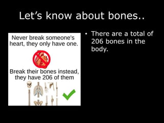 Let’s know about bones..
• There are a total of
206 bones in the
body.
 