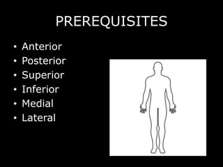 PREREQUISITES
• Anterior
• Posterior
• Superior
• Inferior
• Medial
• Lateral
 