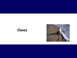 Clavos 