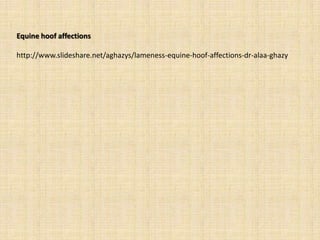 Equine hoof affections
http://www.slideshare.net/aghazys/lameness-equine-hoof-affections-dr-alaa-ghazy
 