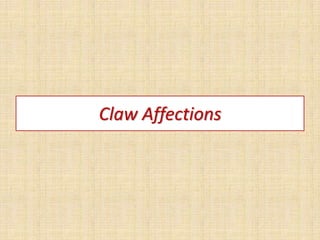 Claw Affections
 