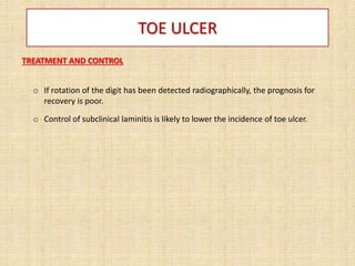 TOE ULCER
TREATMENT AND CONTROL
o If rotation of the digit has been detected radiographically, the prognosis for
recovery is poor.
o Control of subclinical laminitis is likely to lower the incidence of toe ulcer.
 