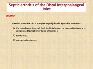Septic arthritis of the Distal Interphalangeal
Joint
ETIOLOGY
o Infection enters the distal interphalangeal joint via 3 possible main sites:
 the dorsal commissure of the interdigital space, via penetrating trauma or
complicated footrot (interdigital phlegmon);
 sandcracks;
 retroarticular abscess
 