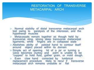 RESTORATION OF TRANSVERSE 
METACARPAL ARCH 
 Normal stability of distal transverse metacarpal arch 
lost owing to paralysis of the interossei, and the 
hypothenar muscles 
 Metacarpals remain together as though held by 
transverse sling, strong deep transverse metacarpal 
ligaments, while fingers are in collapsed state 
 Abolishes ability of palsied hand to contour itself 
around object placed within its domain 
 Simple act of opening lid of a jar or turning a 
valve becomes clumsy and palm is unable to be 
“cupped” to hold fluid, gather grain, or mold dough. 
 Even claw hand corrected by lumbrical 
replacement procedure likely to recur if transverse 
metacarpal arch remains unstable or flat 
 