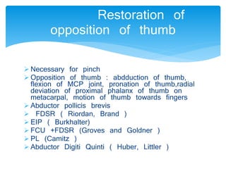 Restoration of 
opposition of thumb 
 Necessary for pinch 
 Opposition of thumb : abdduction of thumb, 
flexion of MCP joint, pronation of thumb,radial 
deviation of proximal phalanx of thumb on 
metacarpal, motion of thumb towards fingers 
 Abductor pollicis brevis 
 FDSR ( Riordan, Brand ) 
 EIP ( Burkhalter) 
 FCU +FDSR (Groves and Goldner ) 
 PL (Camitz ) 
 Abductor Digiti Quinti ( Huber, Littler ) 
 