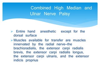 Combined High Median and 
Ulnar Nerve Palsy 
 Entire hand anesthetic except for the 
dorsal surface 
Muscles available for transfer are muscles 
innervated by the radial nerve—the 
brachioradialis, the extensor carpi radialis 
brevis, the extensor carpi radialis longus, 
the extensor carpi ulnaris, and the extensor 
indicis proprius 
 