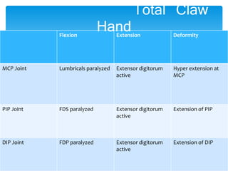 Total Claw 
Flexion Extension Deformity 
MCP Joint Lumbricals paralyzed Extensor digitorum 
active 
Hyper extension at 
MCP 
PIP Joint FDS paralyzed Extensor digitorum 
active 
Extension of PIP 
DIP Joint FDP paralyzed Extensor digitorum 
active 
Extension of DIP 
Hand 
 